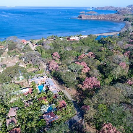 Hotel Isolina Beach Potrero  Dış mekan fotoğraf