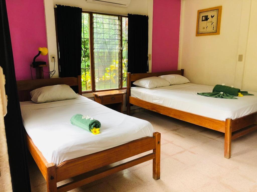 Hotel Isolina Beach Potrero  Dış mekan fotoğraf