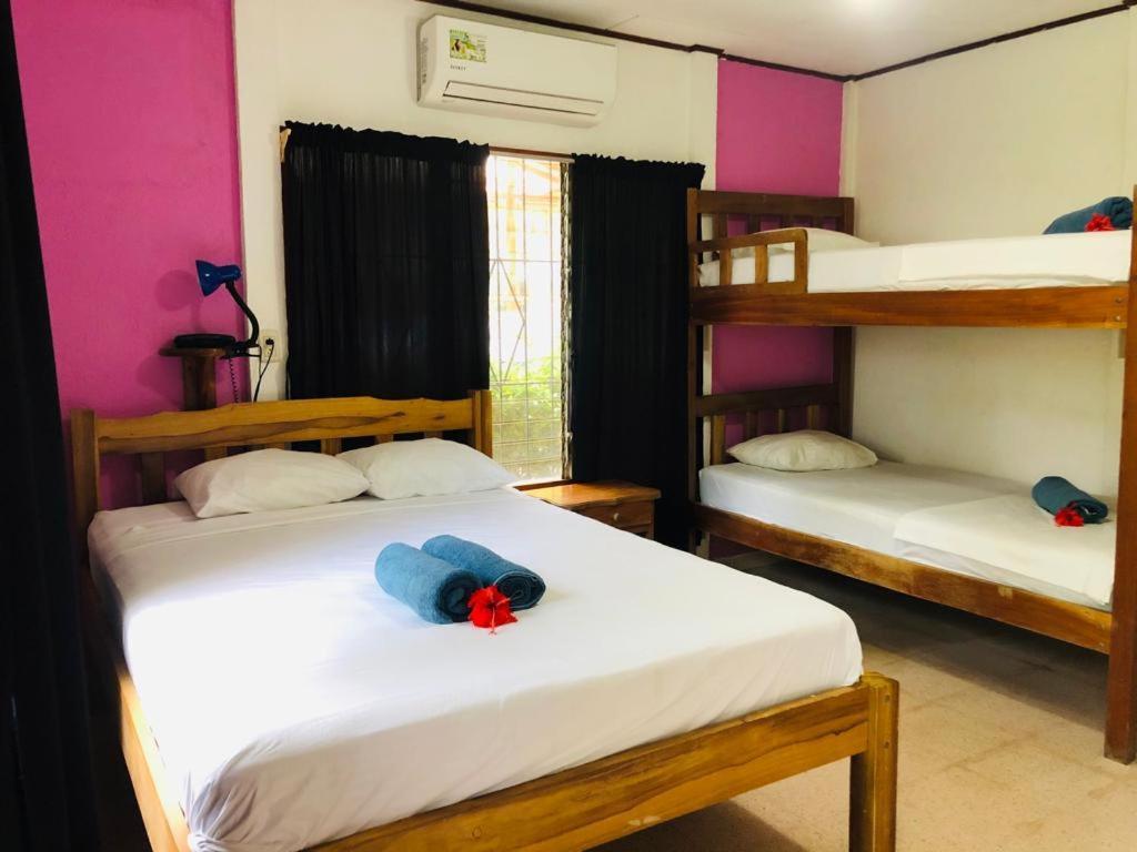 Hotel Isolina Beach Potrero  Dış mekan fotoğraf