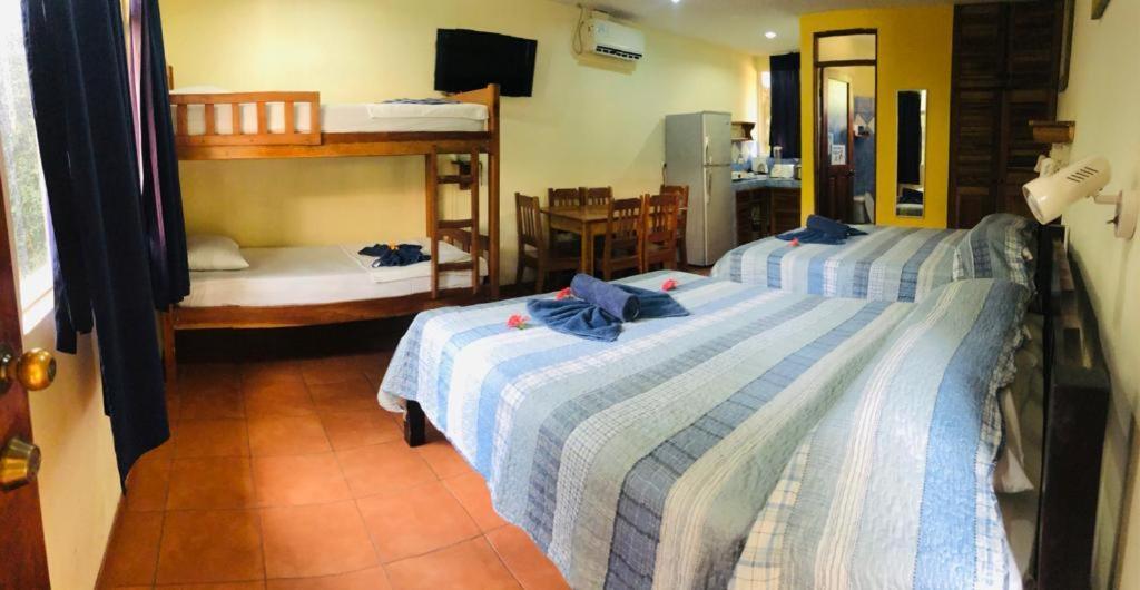 Hotel Isolina Beach Potrero  Dış mekan fotoğraf