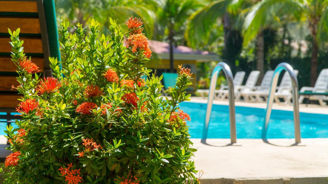 Hotel Isolina Beach Potrero  Dış mekan fotoğraf