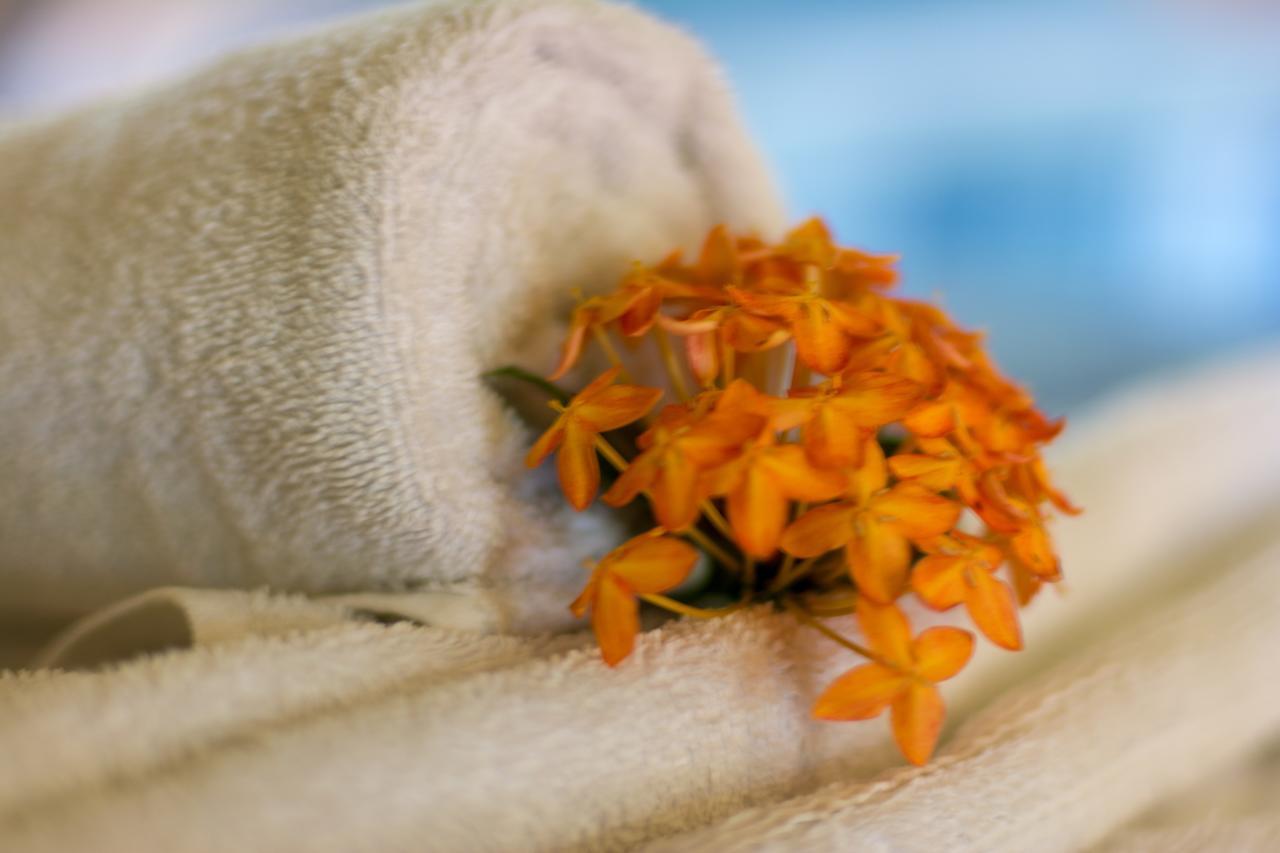 Hotel Isolina Beach Potrero  Dış mekan fotoğraf